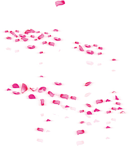 飞舞的花瓣