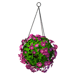 红色花球吊篮花