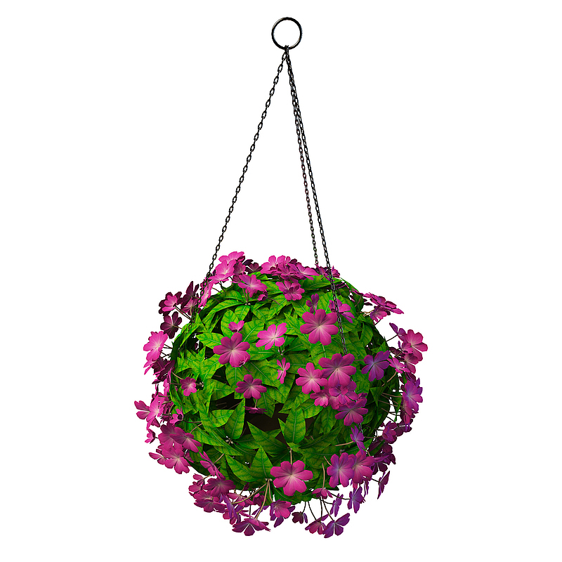 红色花球吊篮花