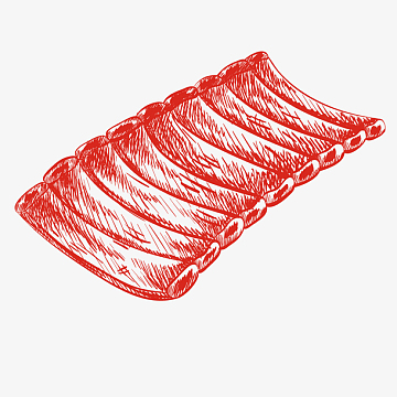 排骨(1000x1000)png美味的虾肉手绘图(800x800)png卡通仙人掌线描简笔