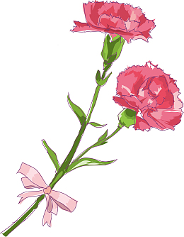 红色母亲节手绘康乃馨