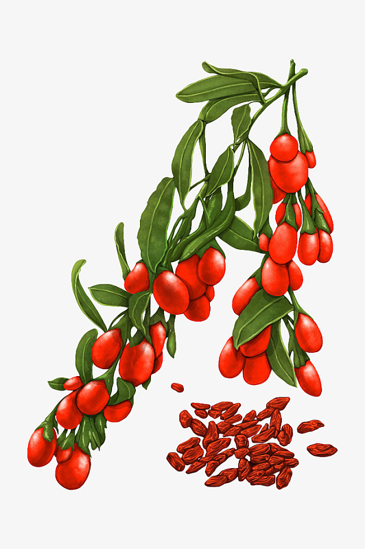 猪肝枸杞叶素材_猪肝枸杞叶图片元素-觅元素