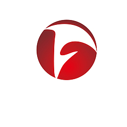 红色安徽卫视logo标志