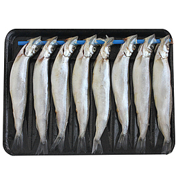 烧烤专用新鲜冷冻深海多春鱼8条