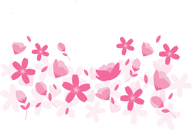 粉红浪漫樱花花瓣