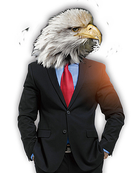 2018年企业招聘猎鹰创意设计