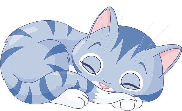 一只蓝色的小猫