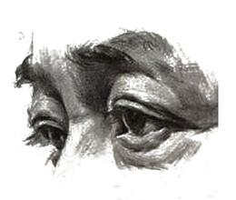 素描眼睛