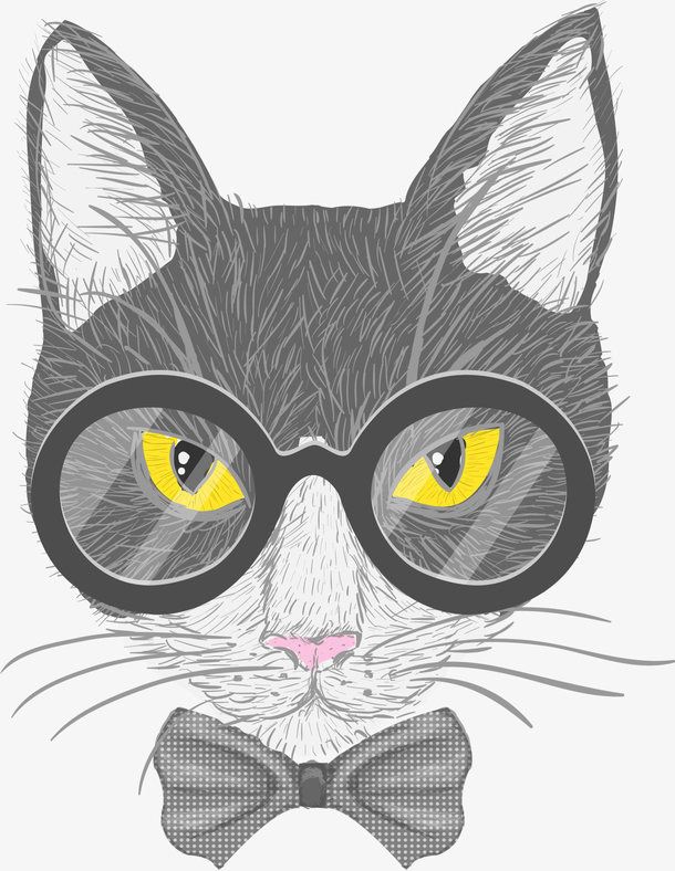 戴着眼镜的灰色猫咪