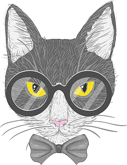 戴着眼镜的灰色猫咪