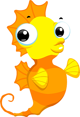 海洋生物嘟嘴的海马