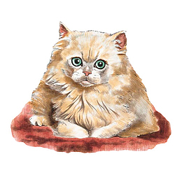 波斯猫水彩画素材图片