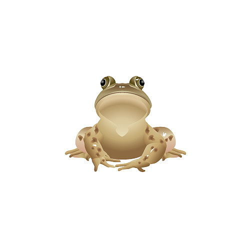 一只青蛙
