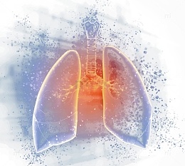 矢量肺部