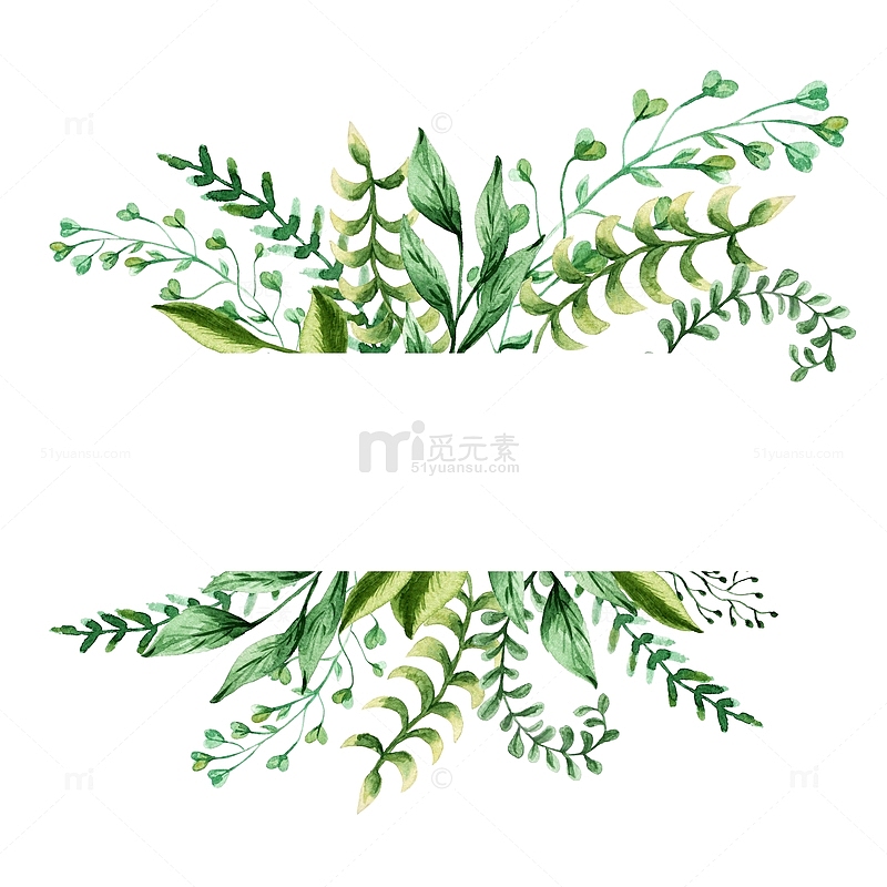 手绘水彩绿色植物叶子