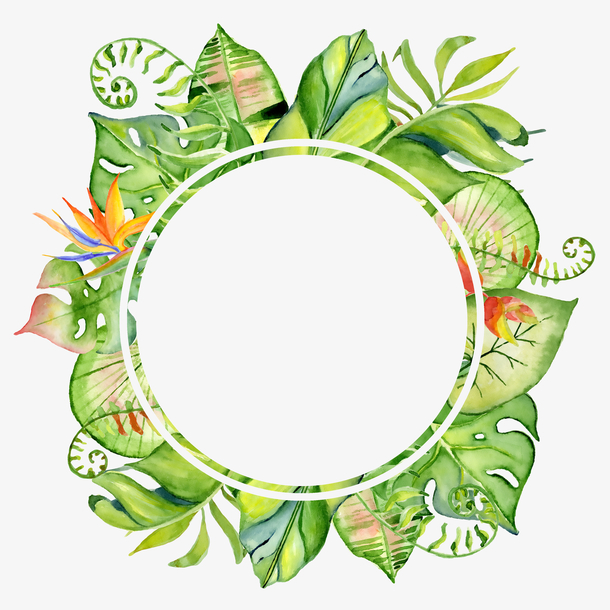 手绘叶子边框装饰