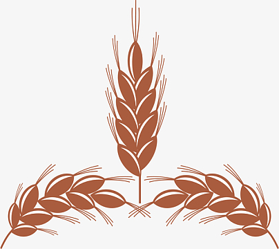 对称的手绘丰满谷穗