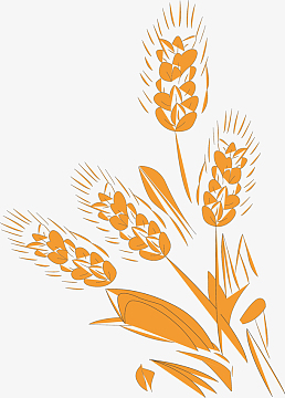 生长的手绘丰满谷穗