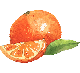 卡通手绘水果装饰海报设计