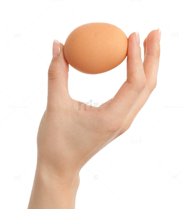褐色鸡蛋手捏着的初生蛋实物
