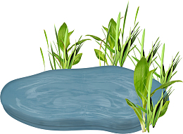 卡通池塘一角PNG