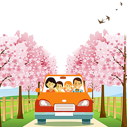 一家人自驾游观赏樱花