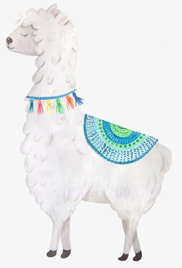 卡通小清新羊驼免抠png装饰