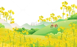 小清新油菜花背景