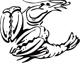 黑白手绘小龙虾插画矢量png