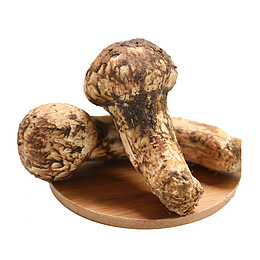 野生菌菇免扣素材