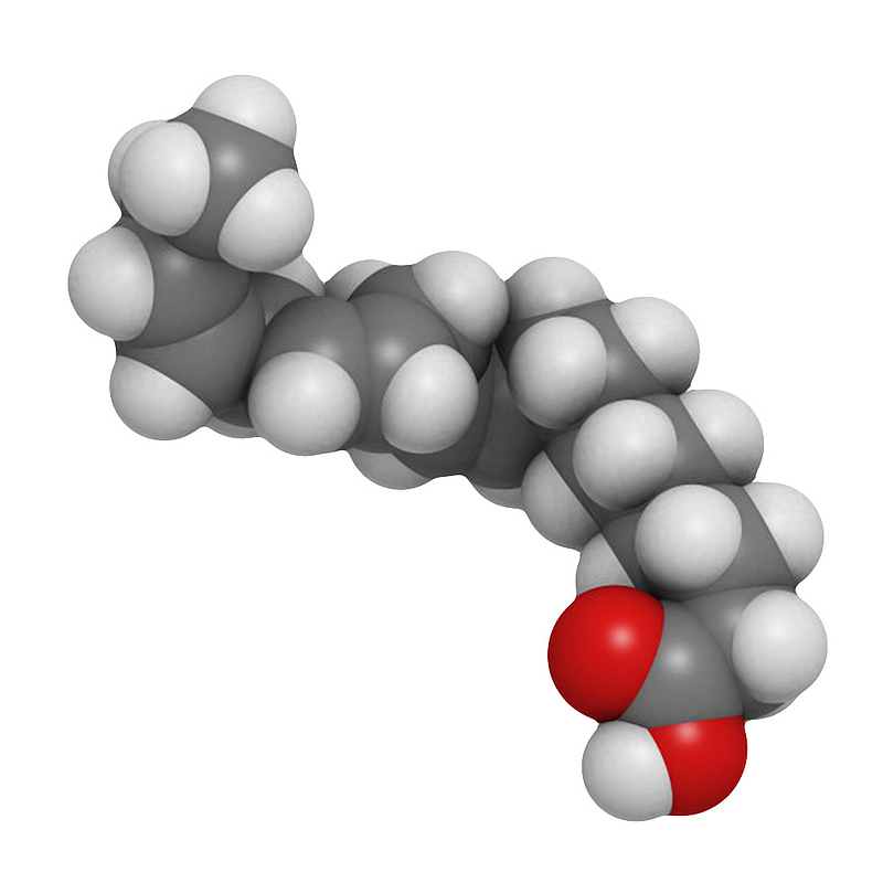 黑灰色ω-3不饱和脂肪酸（α-