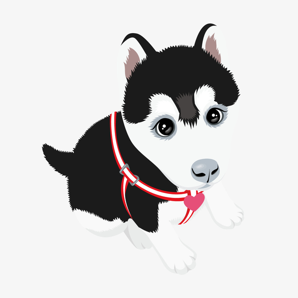 关键词 : 警犬,黑白毛,小狗,矢量[声明] 觅元素所有素材为用户免费