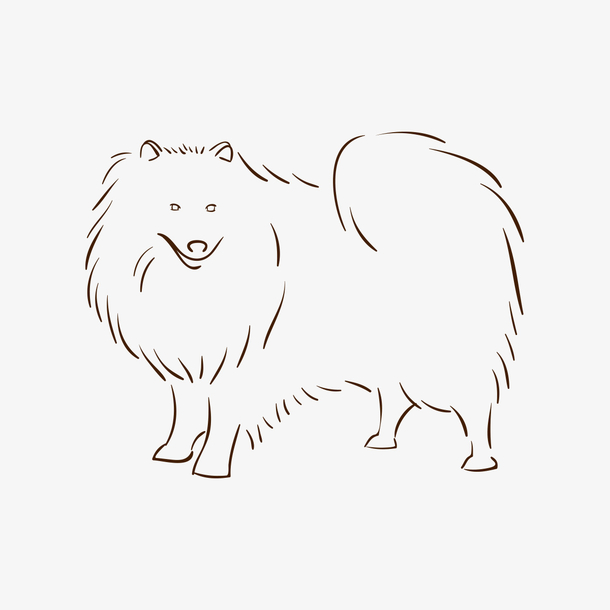 关键词 : 狗,宠物狗,手绘图,简笔图,铅笔图,长毛狗,涂色底图[声明] 觅