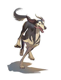 狼狗