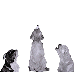 狗狗水墨画