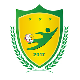 矢量足球logo