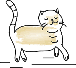 行走的猫咪