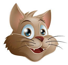 咖啡色猫的鼻子
