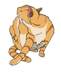 温顺的猫咪