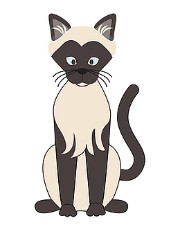 流浪猫png图片