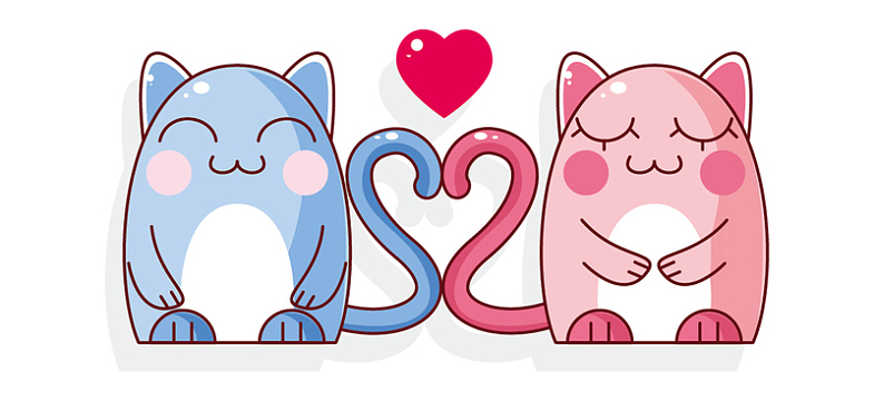 卡通可爱的猫咪情侣