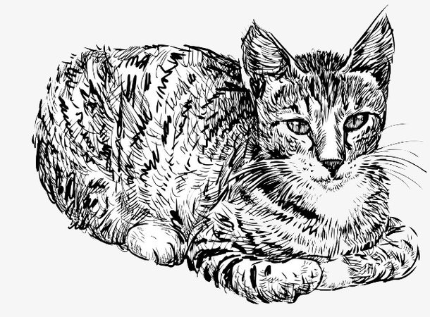 手绘猫图片免抠素材免费下载_觅元素51yuansu.com