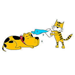 挑衅的猫咪