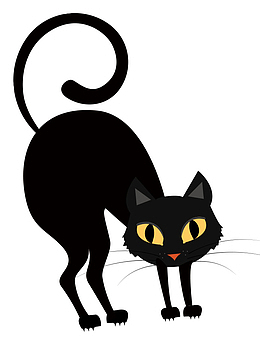 有点恐怖黑夜黑猫
