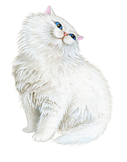 卡通猫咪