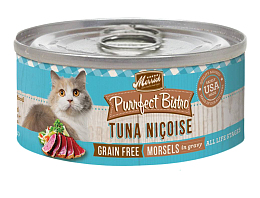 蓝猫猫咪食用猫罐头