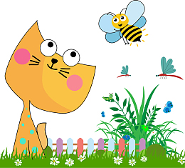 猫咪追着小蜜蜂