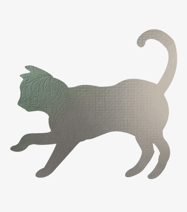 猫影