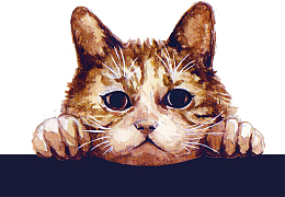 可爱手绘发呆的猫咪