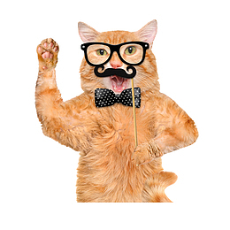 博学猫咪